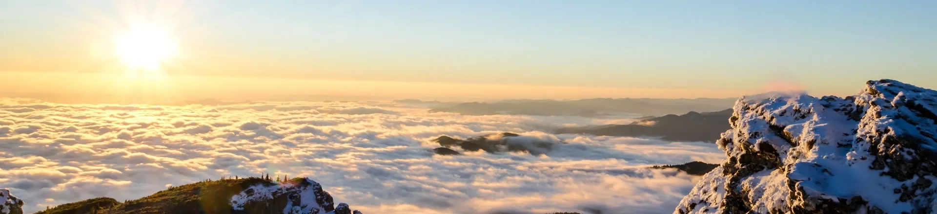 Empapado en tonos vibrantes, el brillo se expresa a través de estas 9 gafas de sol